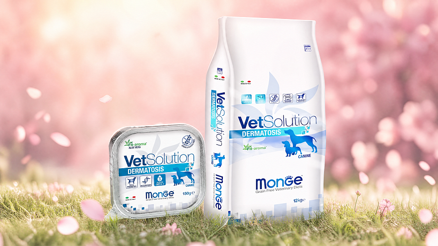 Monge VetSolution